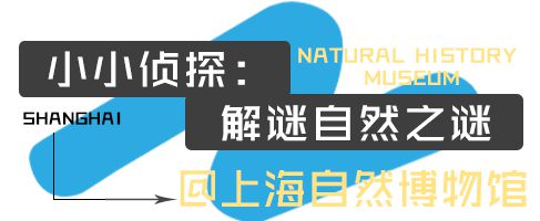 博业博业体育app体育温州日报夏令营③ 抽丝剥茧探寻案件真相、畅游迪士尼逐梦名校……五天四夜上海侦探营邀你来战！平台(图2)